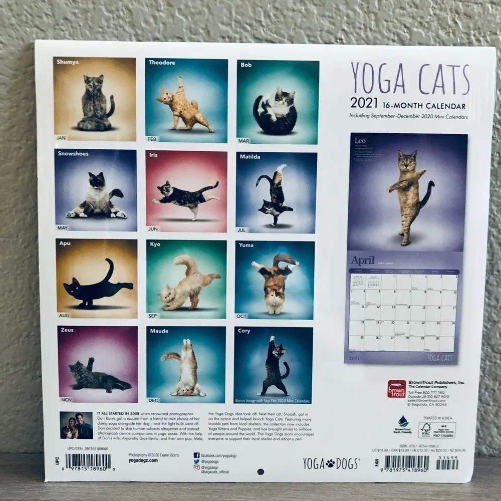 Yoga Cats Wall Art Decor Calendar